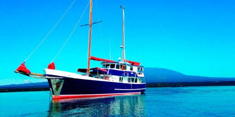 Tour fotográfico Islas Galápagos con Joaquín Gutierrez Acha