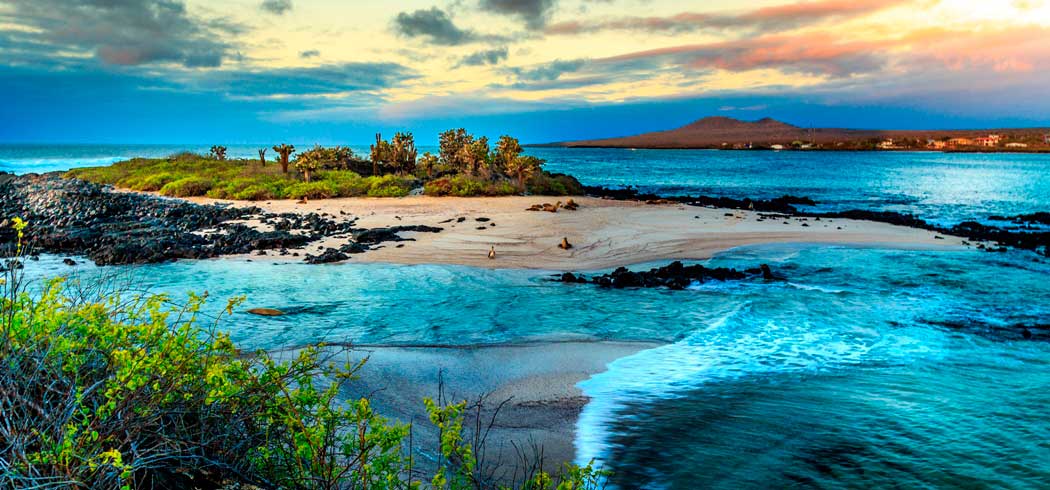 Tour fotográfico Islas Galápagos con Joaquín Gutierrez Acha