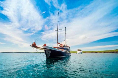 Tour fotográfico Islas Galápagos con Joaquín Gutierrez Acha