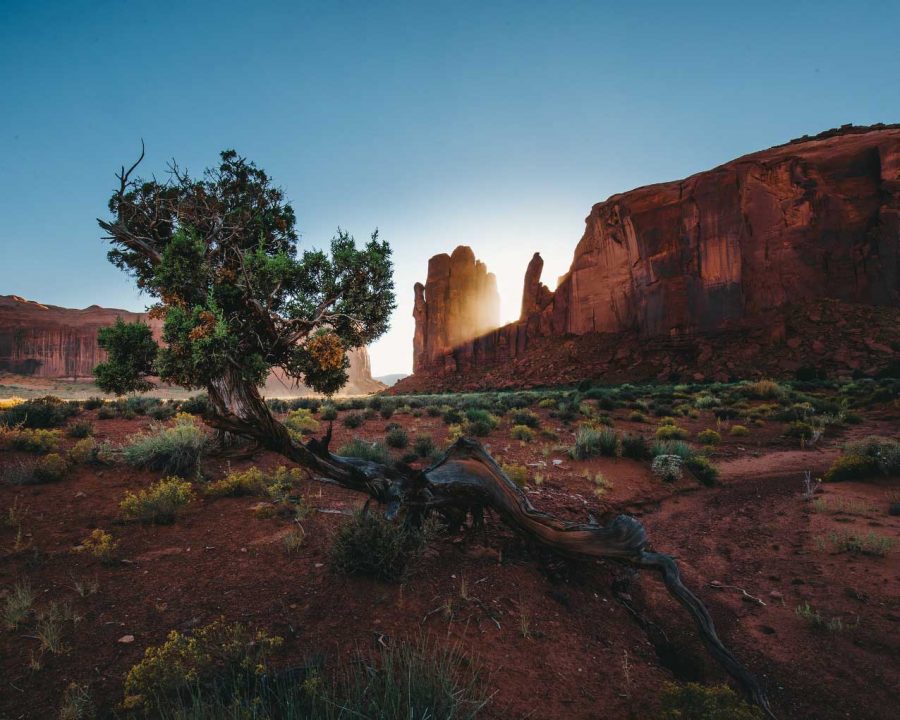 Parques Nacionales del Medio Oeste Americano, Utah, Nevada y Arizona