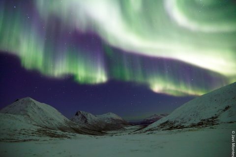 Auroras boreales en invierno 2020. Observación y fotografía en Noruega