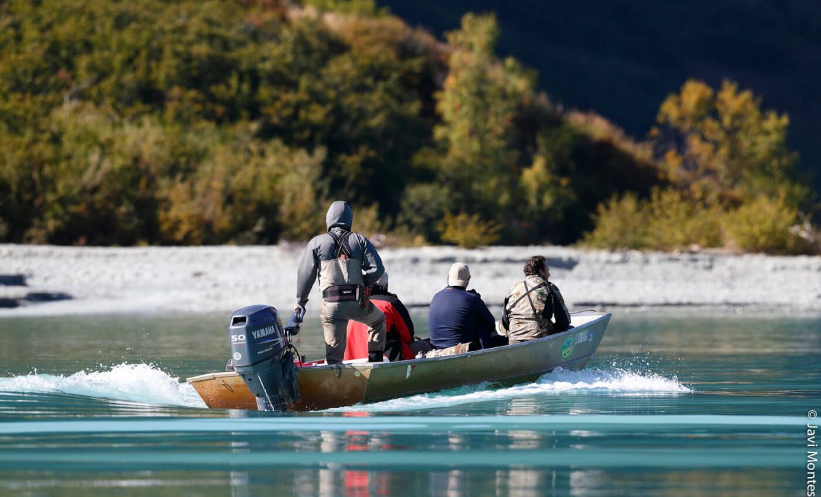 Alaska Salvaje, morsas, osos grizzlies y águilas calvas