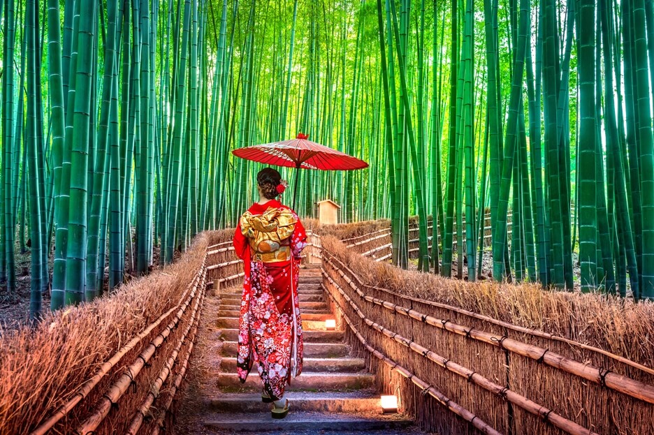 Japón en otoño, bosques, pagodas y templos, tour fotográfico