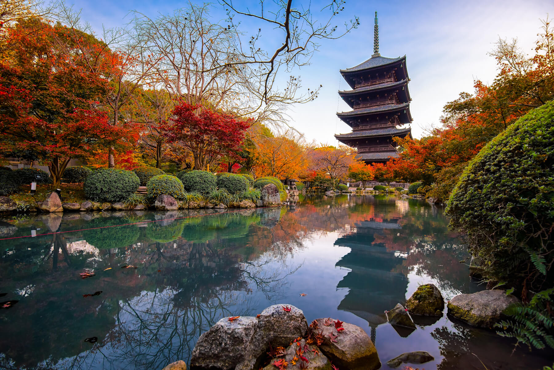 Japón en otoño, bosques, pagodas y templos, tour fotográfico
