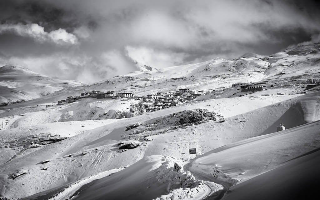 Pantera de las nieves en el Kibber con Andoni Canela