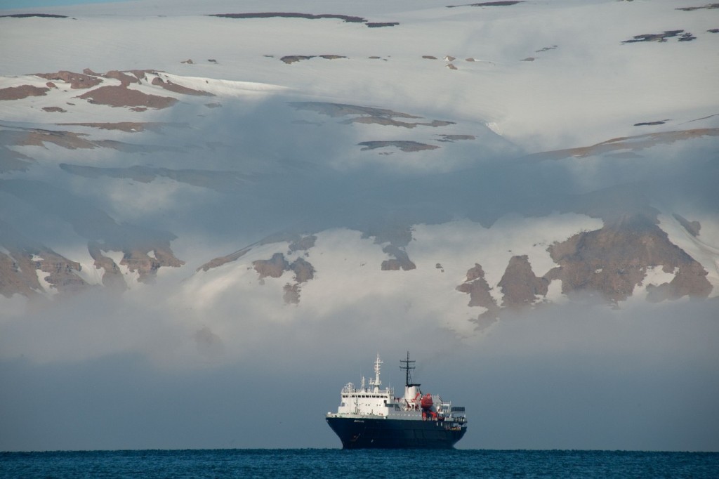 Cruceros Svalbard, observación de osos polares 2020