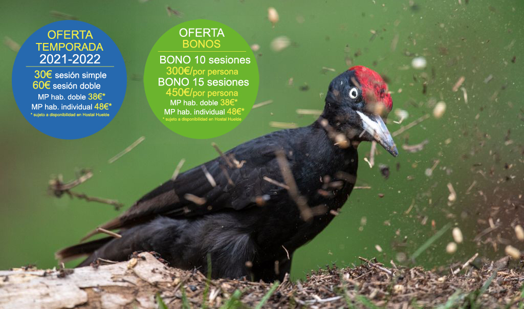 Hides Montaña de Riaño Wild Watching Spain Turismo de Observación y